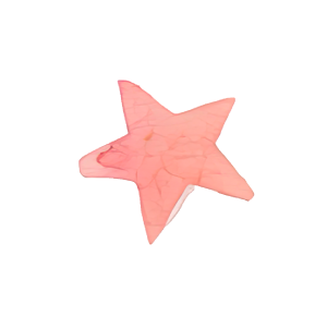 star-coral-sml