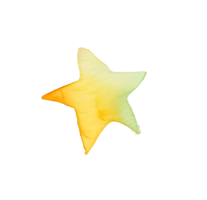 star-yellow-sml