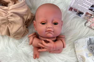 Alba Peek a Boo ~ beBorn DIY Kit