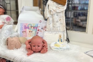 Alba Peek a Boo ~ beBorn DIY Kit