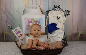 Jia-Li-Bos-1-4-limb-001