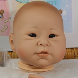 Jia-Li-Bos-1-4-limb-thumb-dollsinc