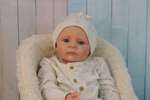 Leon-Scherer-20inch-1-4-limb-005
