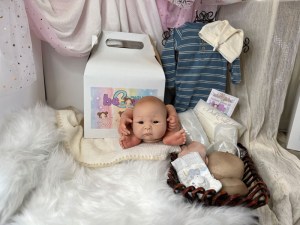 Li-Hua-14-limbs-beborn-003