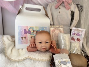 Mira-Jo-14-limbs-beborn-kit-macpherson-003