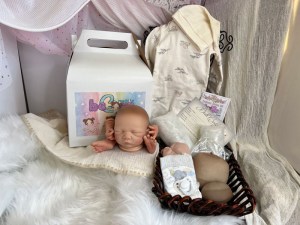 Noe-14-limbs-beborn-003