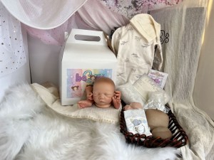 Noe-14-limbs-beborn-004