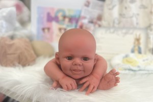 Willow Peek a Boo ~ beBorn DIY Kit