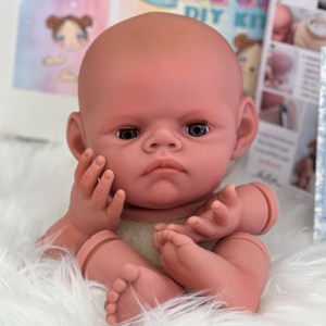 Hudson Peek a Boo ~ beBorn DIY Kit