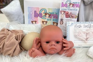 Hudson Peek a Boo ~ beBorn DIY Kit