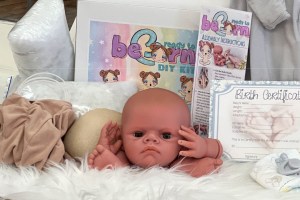 Hudson Peek a Boo ~ beBorn DIY Kit