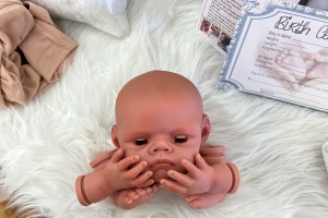 Hudson Peek a Boo ~ beBorn DIY Kit