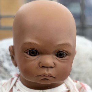 lisastone-csdp-thumb